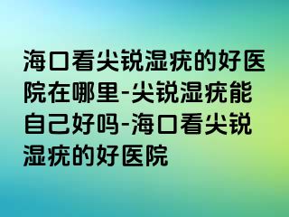 海口看尖锐湿疣的好医院在哪里-尖锐湿疣能自己好吗-海口看尖锐湿疣的好医院