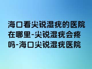 海口看尖锐湿疣的医院在哪里-尖锐湿疣会疼吗-海口尖锐湿疣医院