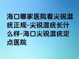 海口哪家医院看尖锐湿疣正规-尖锐湿疣长什么样-海口尖锐湿疣定点医院