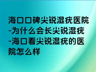 海口口碑尖锐湿疣医院-为什么会长尖锐湿疣-海口看尖锐湿疣的医院怎么样